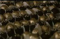 Кадр Капканы, капканы, капканчики