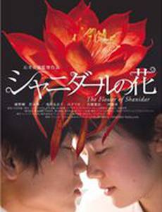 Цветок Шанидар