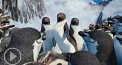 Фрагмент №7