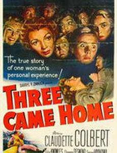 Three Came Home