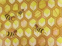 Кадр Пчелка Майя