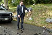 Кадр Месть пушистых