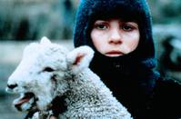 Кадр Работа