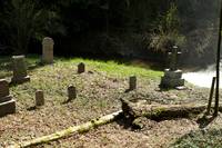 Кадр Дневники вампира