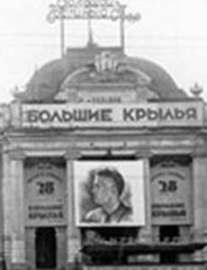 Большие крылья