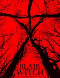 Постер из фильма "Ведьма из Блэр: Новая глава" - 1