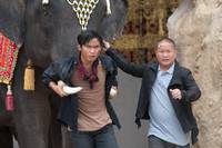 Кадр Честь  дракона 2