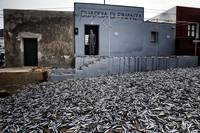 Кадр Материк