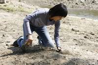 Кадр Искусство мести