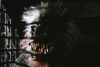 Кадр Калейдоскоп ужасов