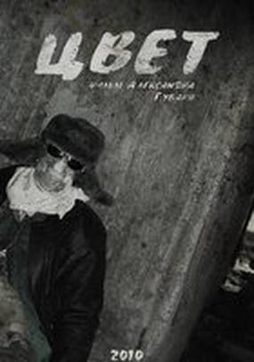 Цвет