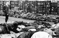 Кадр Как я теперь люблю