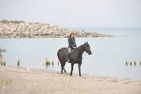 Кадр Выживание мертвецов