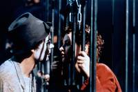 Кадр Алегрия