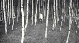 Кадр из фильма "Звезды и солдаты" - 2