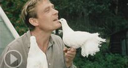 Телевизионный ролик