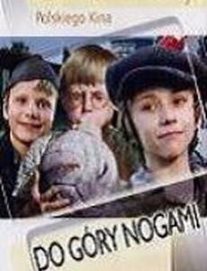 Вверх ногами