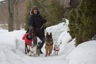 Кадр La nouvelle vie de Paul Sneijder