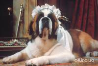 Кадр Питер Пэн