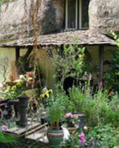 Nicola Dietmann фото