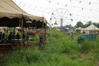 Кадр Американская история ужасов