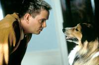 Кадр Собачий парк