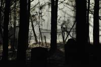 Кадр Дневники вампира