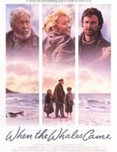 Когда прибывают киты