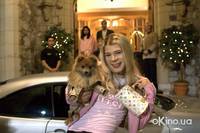 Кадр Белые цыпочки