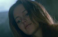 Кадр И на камнях растут деревья