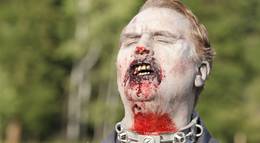 Кадр из фильма "Зомби по имени Фидо" - 2