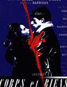 Тела и собственность