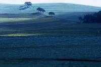 Кадр В моей стране