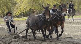 Кадр из фильма "Ад на колёсах" - 2