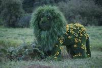 Кадр Однажды в стране чудес