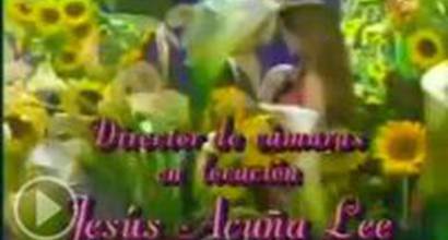 Вступительные титры