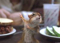 Кадр Зачарованная