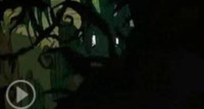 Вступительные титры