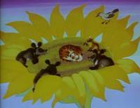 Кадр Тигренок на подсолнухе