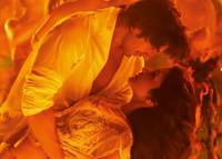 Кадр Леди против Рикки Бахла