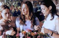 Кадр Одна свадьба и никаких похорон