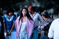 Кадр Война на бобовом поле Милагро