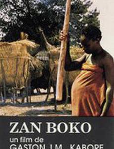 Zan Boko