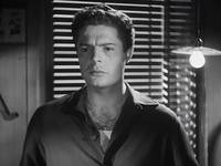 Кадр Собачья жизнь