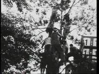 Кадр Кубок мира по футболу 1954 года