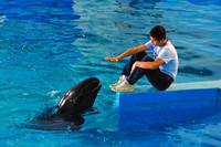 Кадр Рай океана