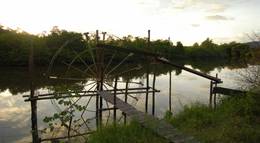 Кадр из фильма "Плотина против Тихого океана" - 2