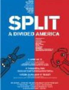 Split: A Divided America