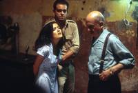 Кадр Времена бабочек