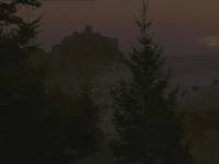 Кадр Лев зимой